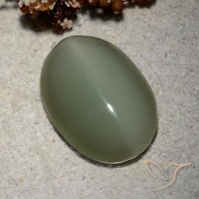 Actinolite Cat's Eye Gemstone in 16.8 x 11.9 mm Size for Sale, Actinolite Cat's Eye Stone in Medium Green Color
