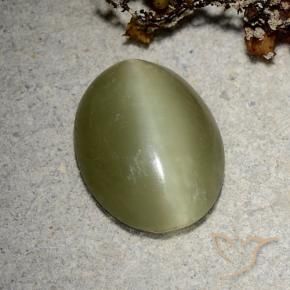 5.10 ct Green Actinolite Cat's Eye Stone, Natural Actinolite Cat's Eye in Oval Cabochon Shape for Sale