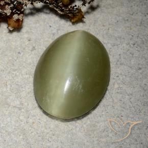 Actinolite Cat's Eye Gemstone in 14.4 x 11.2 mm Size for Sale, Actinolite Cat's Eye Stone in Yellowish Green Color