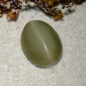 2.78 ct Green Actinolite Cat's Eye Gemstone, Actinolite Cat's Eye Gem in Oval Cabochon Shape for Sale.