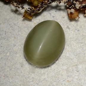 2.78 ct Green Actinolite Cat's Eye Stone, Natural Actinolite Cat's Eye in Oval Cabochon Shape for Sale
