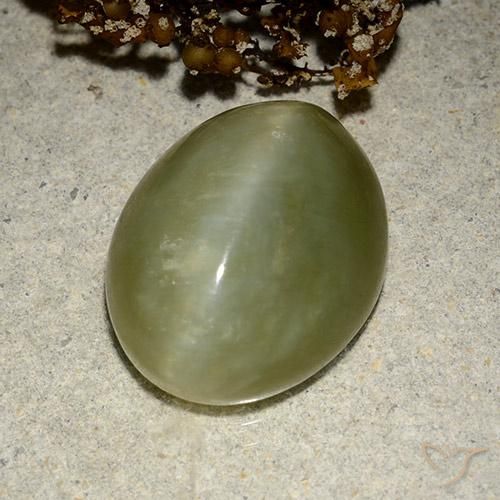 Occhio di gatto ovale in actinolite da 10,95 ct, 16,7 x 13,5 mm dagli Stati Uniti, Photo A