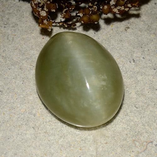 10.95 ct Green Actinolite Cat's Eye Stone, Natural Actinolite Cat's Eye in Oval Cabochon Shape for Sale