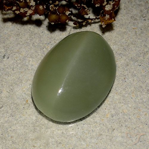 Actinolite œil de chat Vert Ovale 14,4 x 11mm des Etats-Unis, poids de 6,03 ct, pierre gemme naturelle Non traité de pureté Translucide, 1 pièce Actinolite œil de chat oval cabochon, couleur : Vert militaire, dureté de Mohs de 5.5 à 6, Photo A