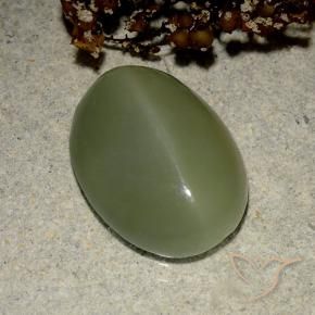 6.03 ct Green Actinolite Cat's Eye Stone, Natural Actinolite Cat's Eye in Oval Cabochon Shape for Sale