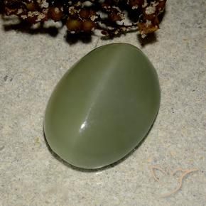 Actinolite Cat's Eye Gemstone in 14.4 x 11 mm Size for Sale, Actinolite Cat's Eye Stone in Army Green Color