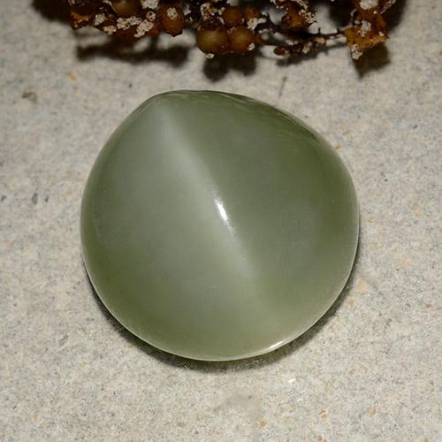 Warm Green Occhio di gatto actinolite Gem - 13.3ct Ovale cabochon (ID: 486198)