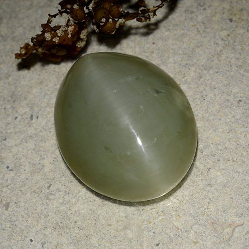 Actinolite œil de chat Vert Ovale 17,6 x 14mm des Etats-Unis, poids de 11,07 ct, pierre gemme naturelle Non traité de pureté Translucide, 1 pièce Actinolite œil de chat oval cabochon, couleur : Vert moyen, dureté de Mohs de 5.5 à 6, Photo A
