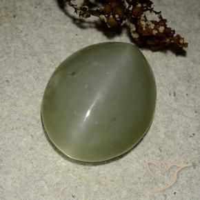 11.07 ct Green Actinolite Cat's Eye Stone, Natural Actinolite Cat's Eye in Oval Cabochon Shape for Sale