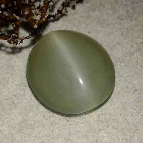 Actinolite œil de chat Ovale en damier des États-Unis 5,41 ct, dimension 13,6 x 12,3mm, pureté Translucide, pierre gemme naturelle Non traité, 1 pièce Actinolite œil de chat de couleur Vert moyen, dureté Mohs de 5.5 à 6, Photo A