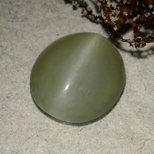 5.41 ct Green Actinolite Cat's Eye Stone, Natural Actinolite Cat's Eye in Oval Cabochon Shape for Sale