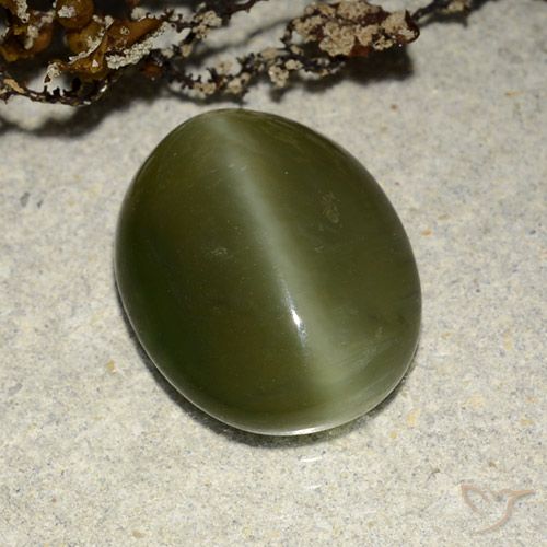 14 x 11,2mm grüner Actinolith Katzenauge im Oval-Cabochon Schliff aus den USA, Gewicht 5,83 ct, Garantiert echter Edelstein in Translucent Reinheit, 1 Stück Actinolith Katzenauge - die Farbe ist Dunkelgrün, Mohs-Härte von 5,5 - 6, Photo A