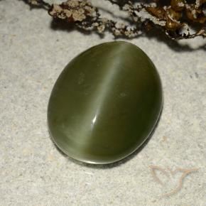 5.83 ct Green Actinolite Cat's Eye Stone, Natural Actinolite Cat's Eye in Oval Cabochon Shape for Sale