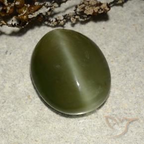 Actinolite Cat's Eye Gemstone in 14 x 11.2 mm Size for Sale, Actinolite Cat's Eye Stone in Dark Green Color