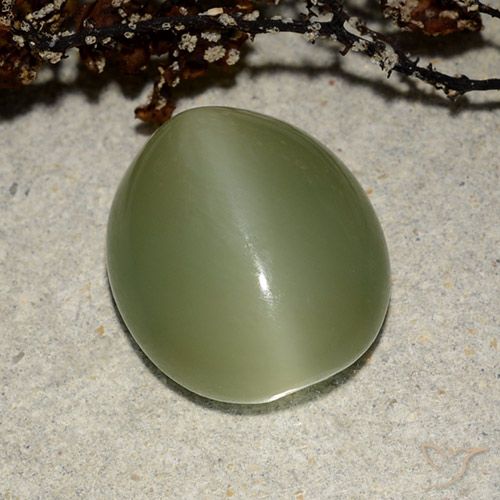Actinolite œil de chat Ovale en damier des États-Unis 7,32 ct, dimension 14 x 12mm, pureté Translucide, pierre gemme naturelle Non traité, 1 pièce Actinolite œil de chat de couleur Vert chaud, dureté Mohs de 5.5 à 6, Photo A