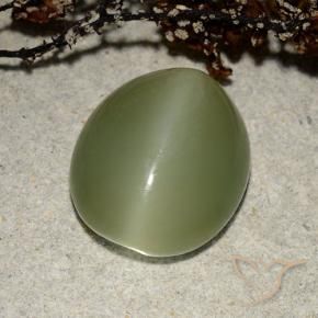7.32 ct Green Actinolite Cat's Eye Stone, Natural Actinolite Cat's Eye in Oval Cabochon Shape for Sale