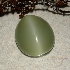 Actinolite Cat's Eye Gemstone in 14 x 12 mm (calibrated) Size for Sale, Actinolite Cat's Eye Stone in Warm Green Color