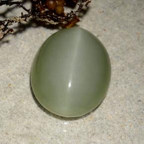 Earthy Green Actinolite Cat's Eye Gem - 5.4ct Oval Cabochon (ID: 486204)