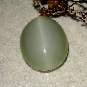 5.42 ct Green Actinolite Cat's Eye Stone, Natural Actinolite Cat's Eye in Oval Cabochon Shape for Sale