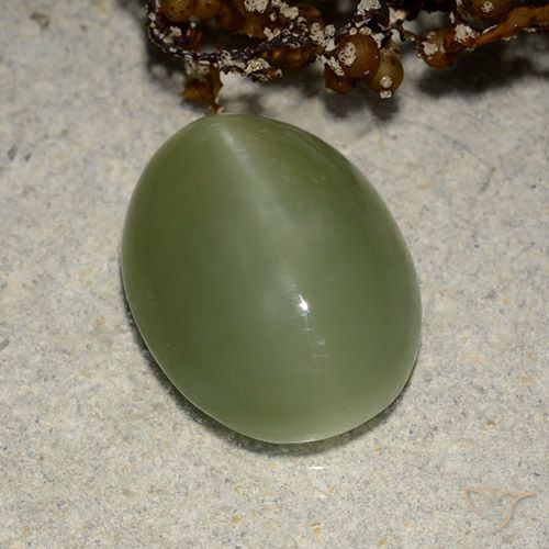 Actinolite œil de chat Vert terreux Ovale 5,84 ct des Etats-Unis, Dimension 13,7 x 10,6mm, Pierre gemme naturelle Non traité, pureté Translucide, 1 pièce Actinolite œil de chat oval cabochon, dureté de Mohs de 5.5 à 6, Photo A