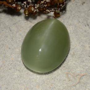 5.84 ct Green Actinolite Cat's Eye Stone, Natural Actinolite Cat's Eye in Oval Cabochon Shape for Sale