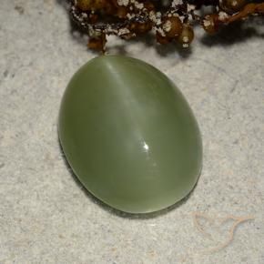 Actinolite Cat's Eye Gemstone in 13.7 x 10.6 mm Size for Sale, Actinolite Cat's Eye Stone in Earthy Green Color