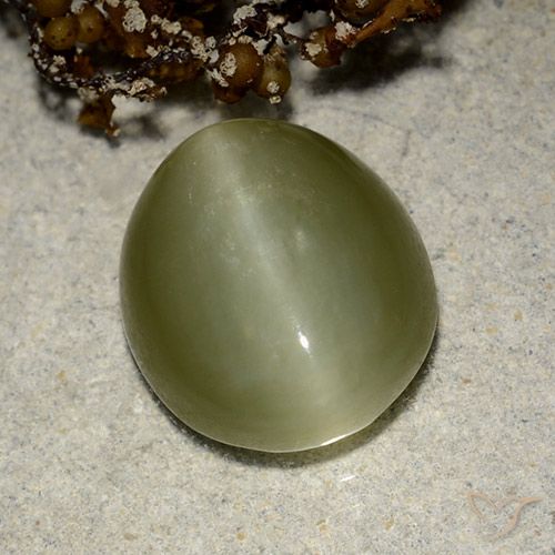 Actinolite œil de chat Vert oval cabochon 6,75 ct des Etats-Unis, dimension 13,5 x 11,6mm, pierre gemme naturelle Non traité, pureté Translucide, 1 pièce Actinolite œil de chat de couleur Vert chaud, dureté Mohs de 5.5 à 6, Photo A