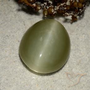 6.75 ct Green Actinolite Cat's Eye Stone, Natural Actinolite Cat's Eye in Oval Cabochon Shape for Sale