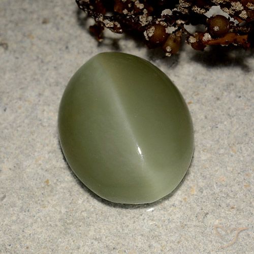 Actinolite œil de chat Vert terreux Ovale 5,41 ct des Etats-Unis, Dimension 13,5 x 10,7mm, Pierre gemme naturelle Non traité, pureté Translucide, 1 pièce Actinolite œil de chat oval cabochon, dureté de Mohs de 5.5 à 6, Photo A