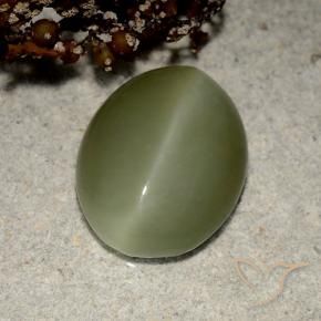 5.41 ct Green Actinolite Cat's Eye Stone, Natural Actinolite Cat's Eye in Oval Cabochon Shape for Sale