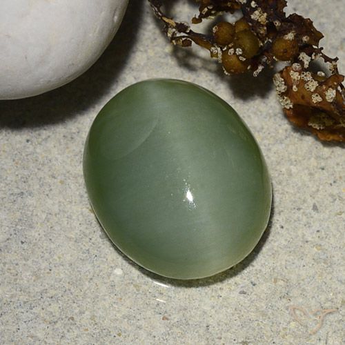 Occhio di gatto ovale in actinolite da 5,48 ct, 13,2 x 10,9 mm dagli Stati Uniti, Photo A