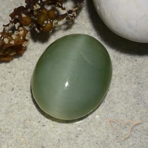 5.48 ct Green Actinolite Cat's Eye Stone, Natural Actinolite Cat's Eye in Oval Cabochon Shape for Sale