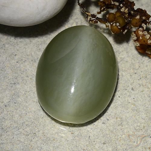 Actinolite Cat's Eye Gemstone in 16 x 12 mm (calibrated) Size for Sale, Actinolite Cat's Eye Stone in Mossy Green Color