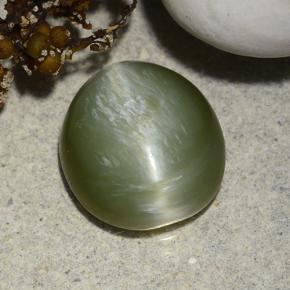 4.58 ct Green Actinolite Cat's Eye Stone, Natural Actinolite Cat's Eye in Oval Cabochon Shape for Sale
