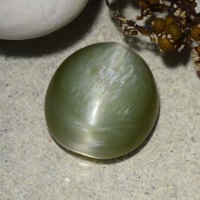 Actinolite Cat's Eye Gemstone in 11.6 x 10.7 mm Size for Sale, Actinolite Cat's Eye Stone in Green Color