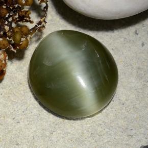 Warm Green Actinolite Cat's Eye Gem - 5.3ct Oval Cabochon (ID: 486211)