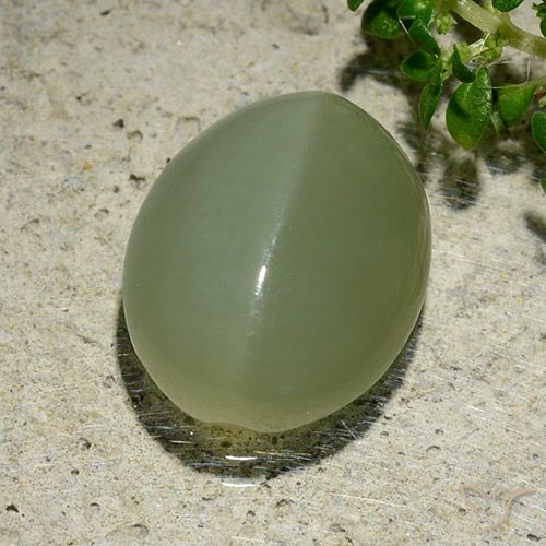 6.57ct Natural Grayish Green Actinolite Cat's Eye, Oval, Translucent