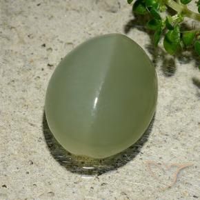 Actinolite Cat's Eye Gemstone in 14.3 x 11.5 mm Size for Sale, Actinolite Cat's Eye Stone in Grayish Green Color