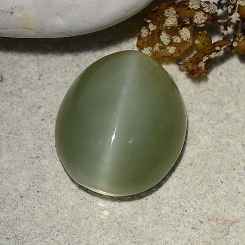 Actinolite œil de chat Ovale en damier des États-Unis 5,93 ct, dimension 13,2 x 11,1mm, pureté Translucide, pierre gemme naturelle Non traité, 1 pièce Actinolite œil de chat de couleur Vert terreux, dureté Mohs de 5.5 à 6, Photo A