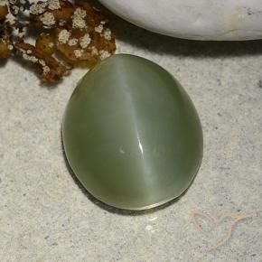 5.93 ct Green Actinolite Cat's Eye Stone, Natural Actinolite Cat's Eye in Oval Cabochon Shape for Sale