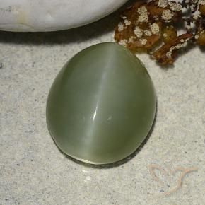 Actinolite Cat's Eye Gemstone in 13 x 11 mm (calibrated) Size for Sale, Actinolite Cat's Eye Stone in Earthy Green Color