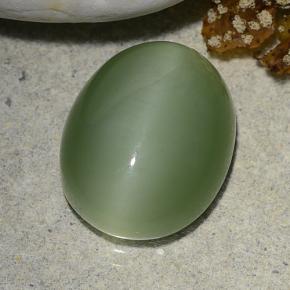 7ct Oval Cabochon Green Actinolite Cat's Eye Gem for sale 7ct Oval Cabochon Green Actinolite Cat's Eye Gem (ID: 486215)