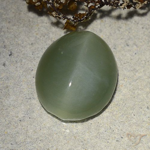 Actinolite œil de chat Vert moyen Ovale 7,31 ct des Etats-Unis, Dimension 14,6 x 12,2mm, Pierre gemme naturelle Non traité, pureté Translucide, 1 pièce Actinolite œil de chat oval cabochon, dureté de Mohs de 5.5 à 6, Photo A