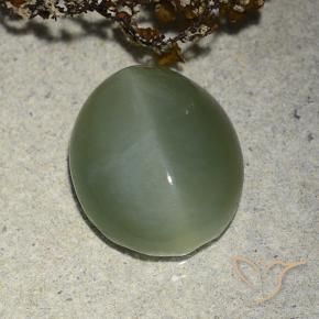 7.31 ct Green Actinolite Cat's Eye Stone, Natural Actinolite Cat's Eye in Oval Cabochon Shape for Sale
