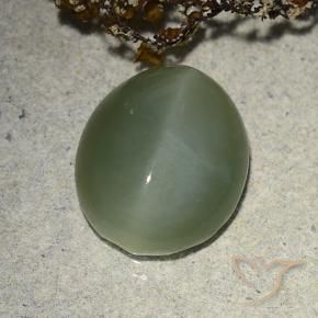 Actinolite Cat's Eye Gemstone in 14 x 12 mm (calibrated) Size for Sale, Actinolite Cat's Eye Stone in Medium Green Color