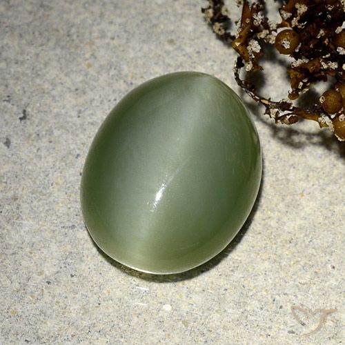5.91ct Natural Earthy Green Actinolite Cat's Eye, Oval, Translucent