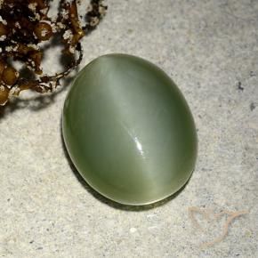 5.91 ct Green Actinolite Cat's Eye Stone, Natural Actinolite Cat's Eye in Oval Cabochon Shape for Sale