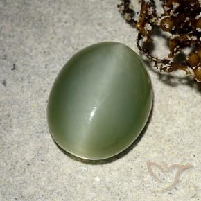 Actinolite Cat's Eye Gemstone in 13.1 x 10.5 mm Size for Sale, Actinolite Cat's Eye Stone in Earthy Green Color