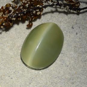 4.89 ct Green Actinolite Cat's Eye Stone, Natural Actinolite Cat's Eye in Oval Cabochon Shape for Sale