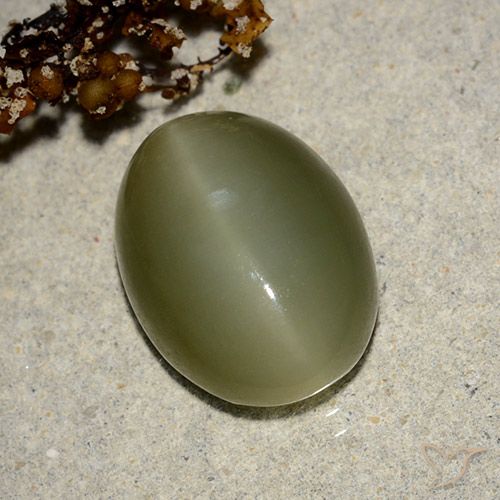 Occhio di gatto ovale in actinolite da 7,05 ct, 14,5 x 10,8 mm dagli Stati Uniti, Photo A